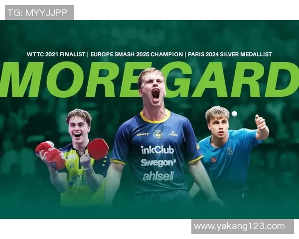 瑞典与法国足球比赛在线直播全程回顾与精彩瞬间分享